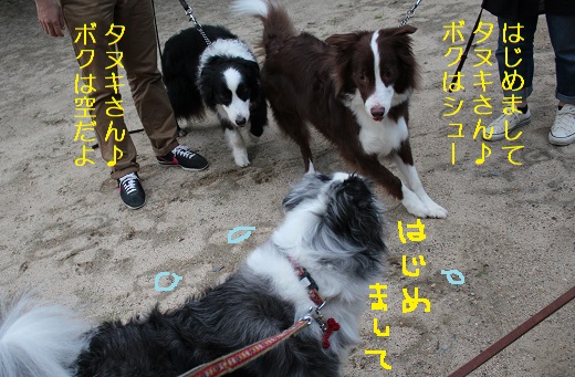 はじめまして