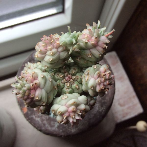 rblog-20140629114440-02.jpg