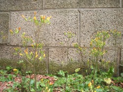Photo_4