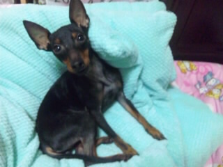 SH3D47630001.jpg