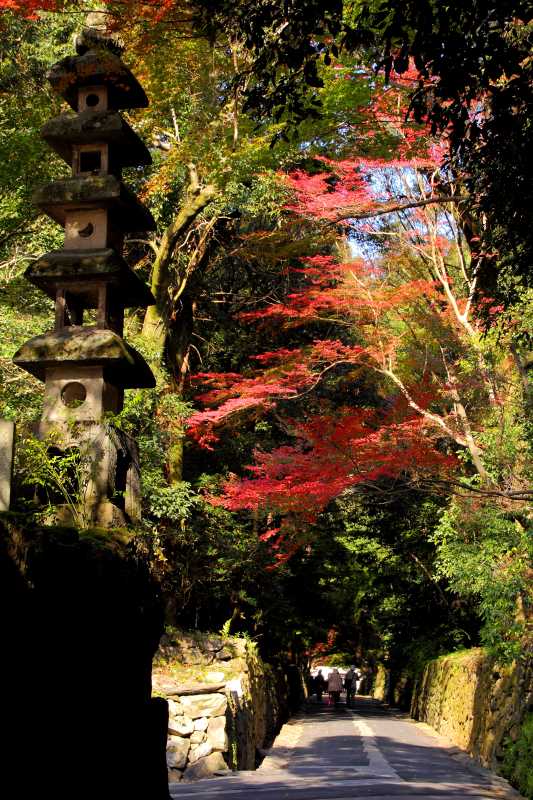 興聖寺_002.jpg