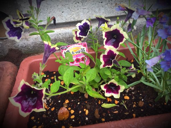 rblog-20160530190925-07.jpg