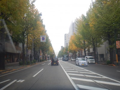 s_DSCN2474.JPG