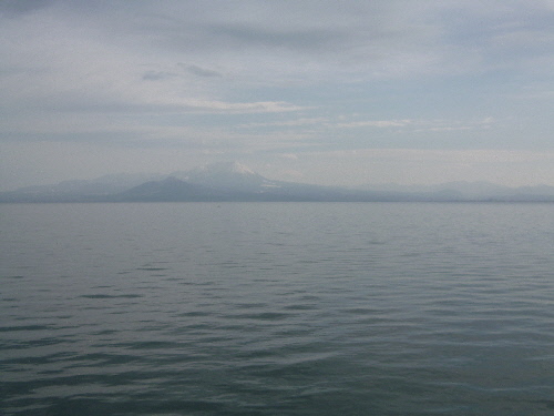P1140782(1).JPG