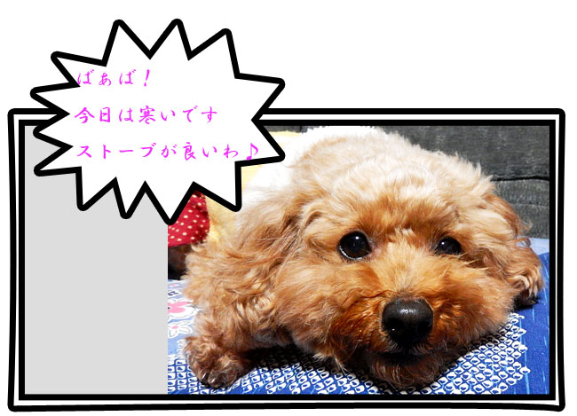 こころ10