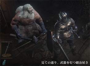 DS31.jpg