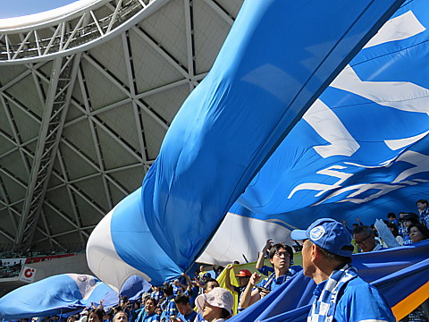IMG_6474.jpg
