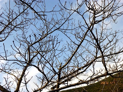 P1010791_NEW.jpg