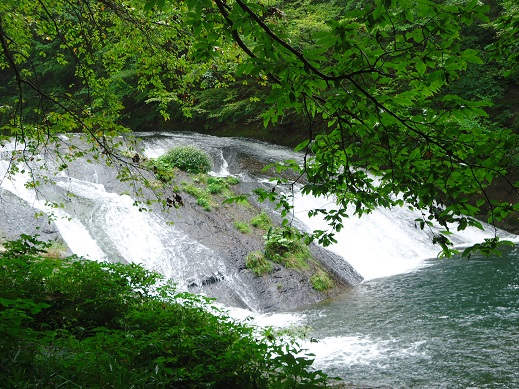 DSC03480.JPG