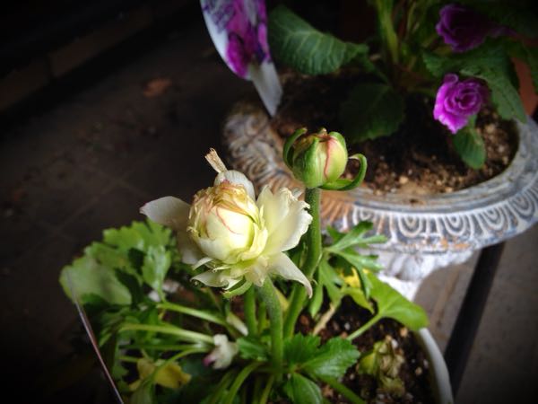 rblog-20141225200421-02.jpg