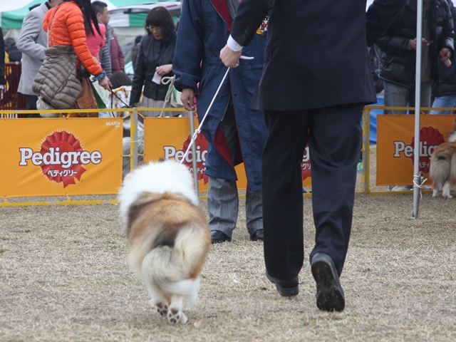 IMG_0967 - コピー.JPG