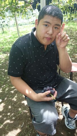 rblog-20140815133422-01.jpg