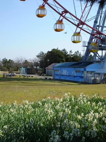 葛西臨海公園にて