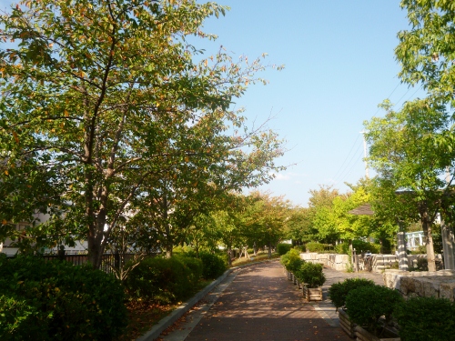 100 (500x375).jpg