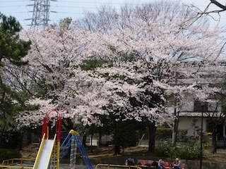 DSCN3814.JPG