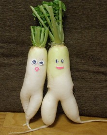 121120daikon2.JPG