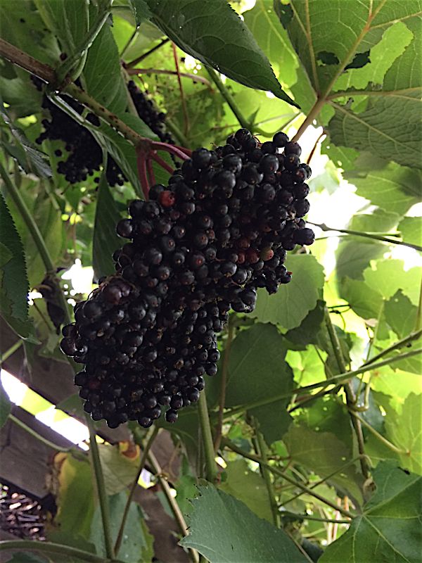 rblog-20140819213353-02.jpg