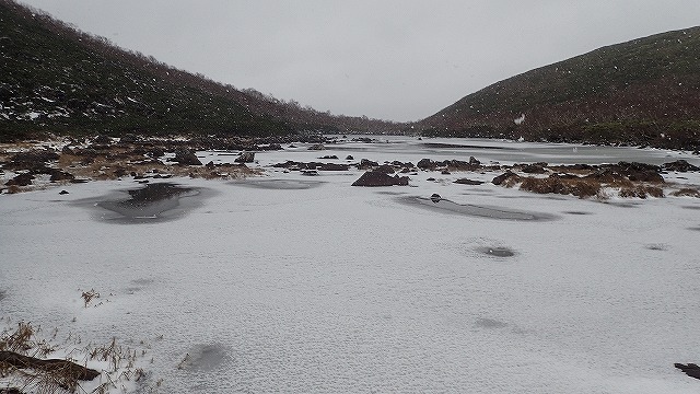 PA221563　12：03ボタン雪に.jpg