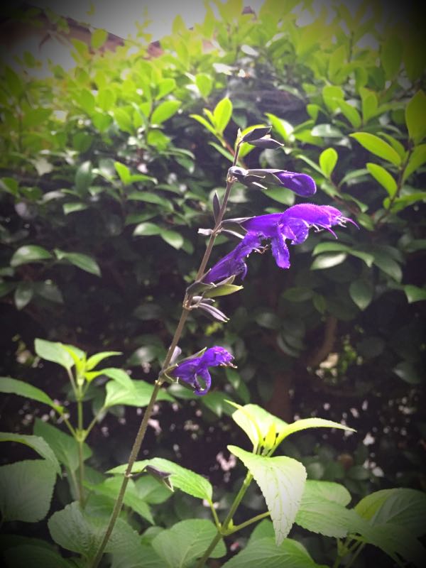 rblog-20160627210033-06.jpg