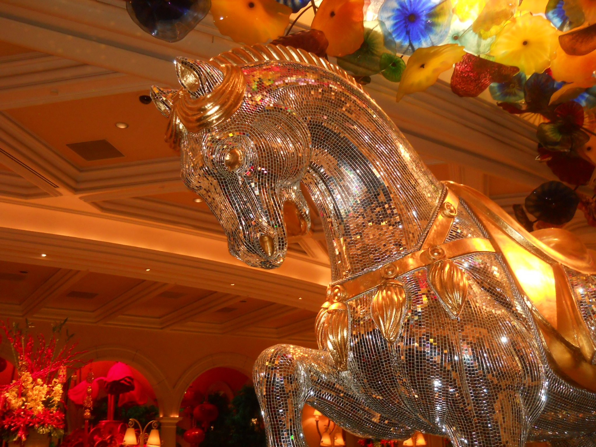 DSCN3040.JPG