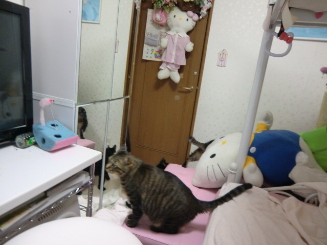 無題-24bitカラー-01.jpg