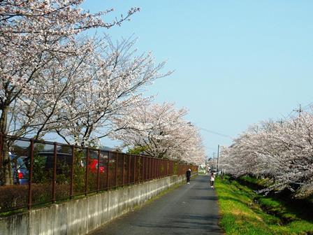 DSCN9573a.jpg