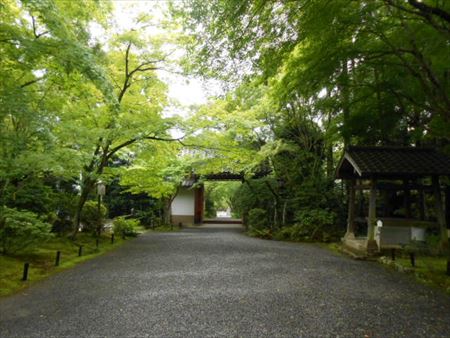 京都　鷹峯　常照寺