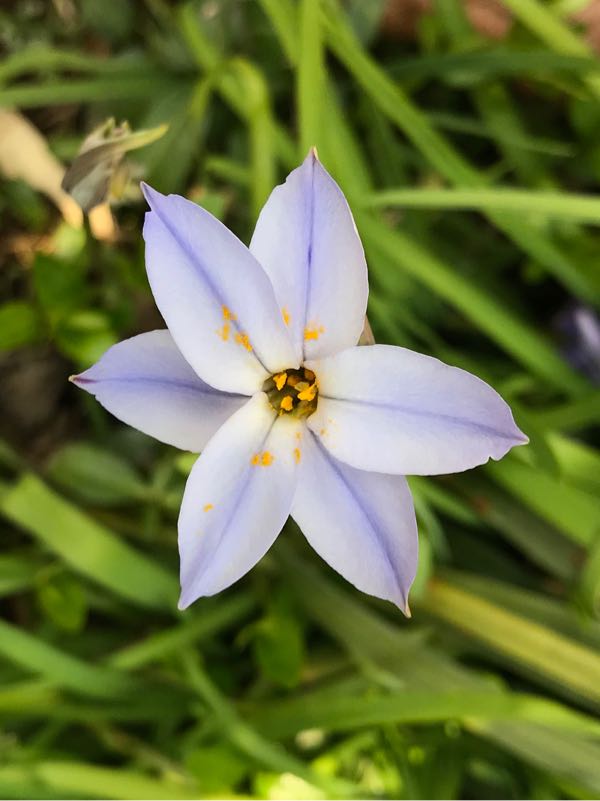 rblog-20180324163010-05.jpg