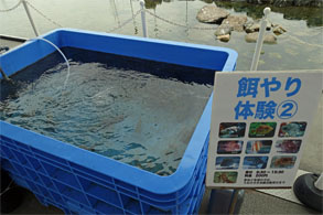 小名浜135.jpg