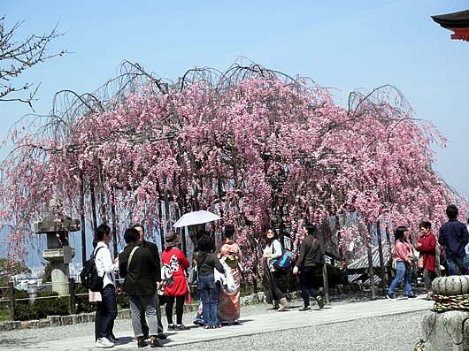 kiyomizu-6