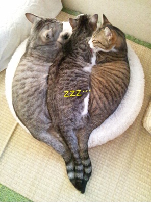 20120722_2.jpg
