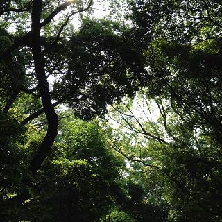 ６月１日１.jpg