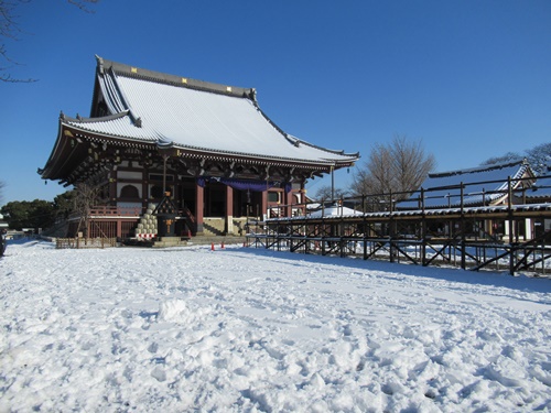 池上本門寺にて