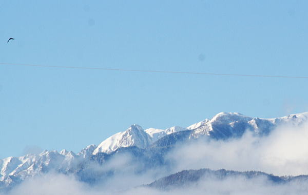 n6.jpg