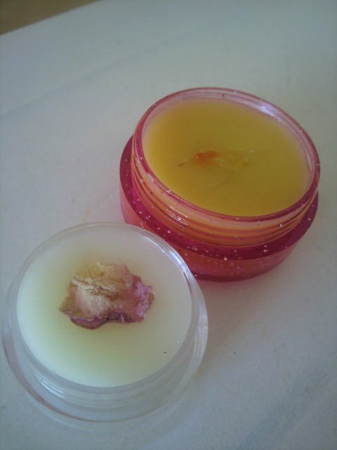 P1010135 (480x640).jpg