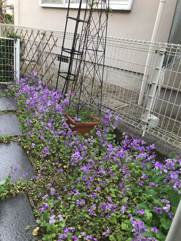 rblog-20190401164244-02.jpg