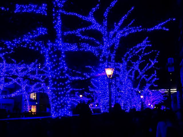 DSC08924_R.JPG