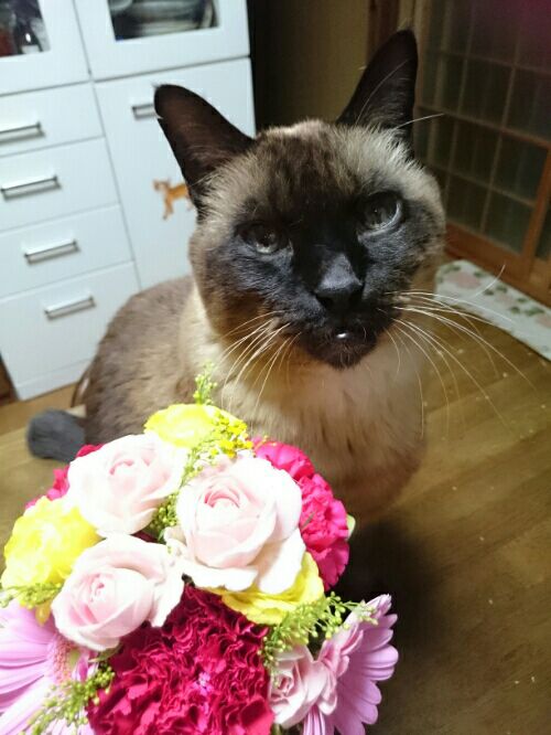 rblog-20160123203955-02.jpg