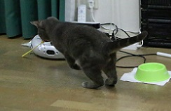 IMG_8030-6.jpg