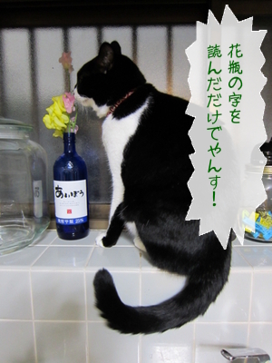 20121214115925_w_300_h_400_3600742.jpg