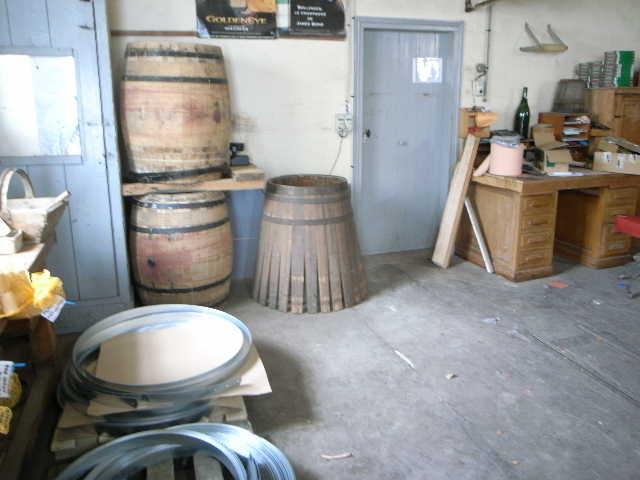 RIMG22469.JPG
