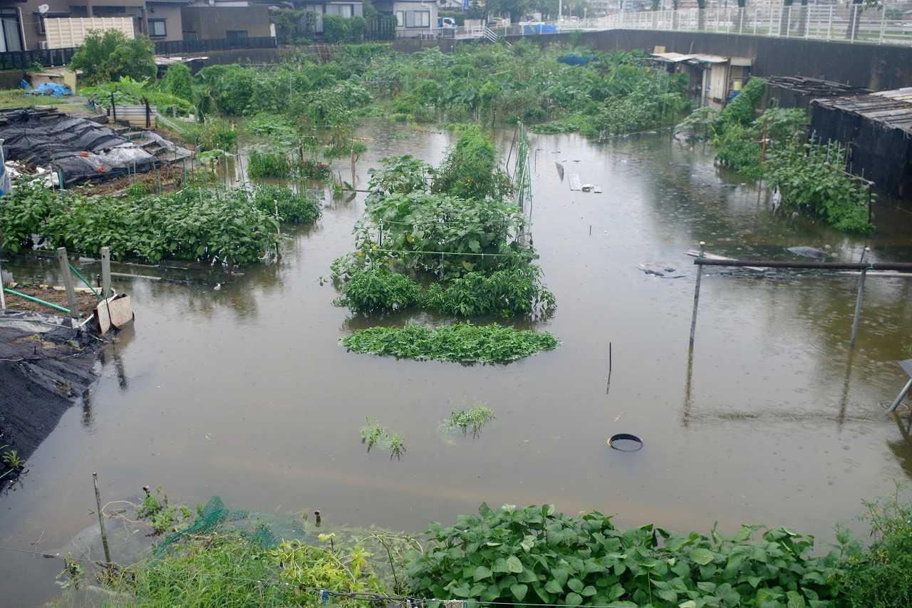 21年08月14日の記事 雨釣の釣り日記 楽天ブログ 21年08月14日の記事 雨釣の釣り日記 楽天ブログ