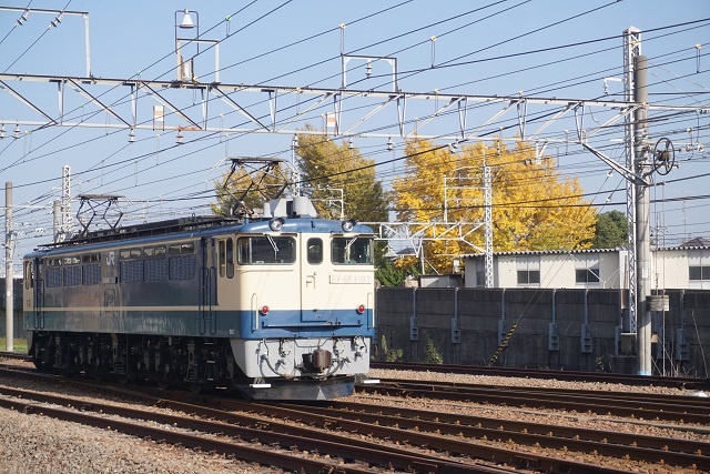 EF65 1103牽引 神奈川 菊名 チキ工臨 空返却4