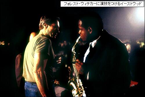 45ページ目の記事一覧 耳 ミミ とチャッピの布団 楽天ブログ