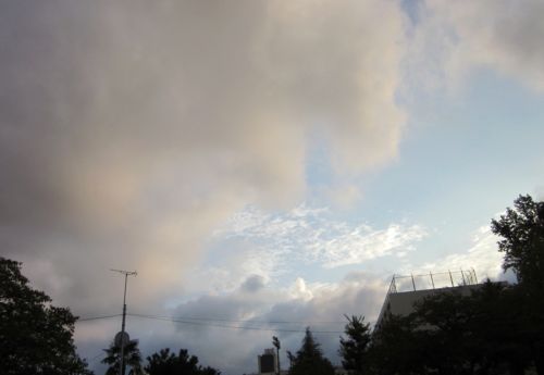 IMG_2937.jpg