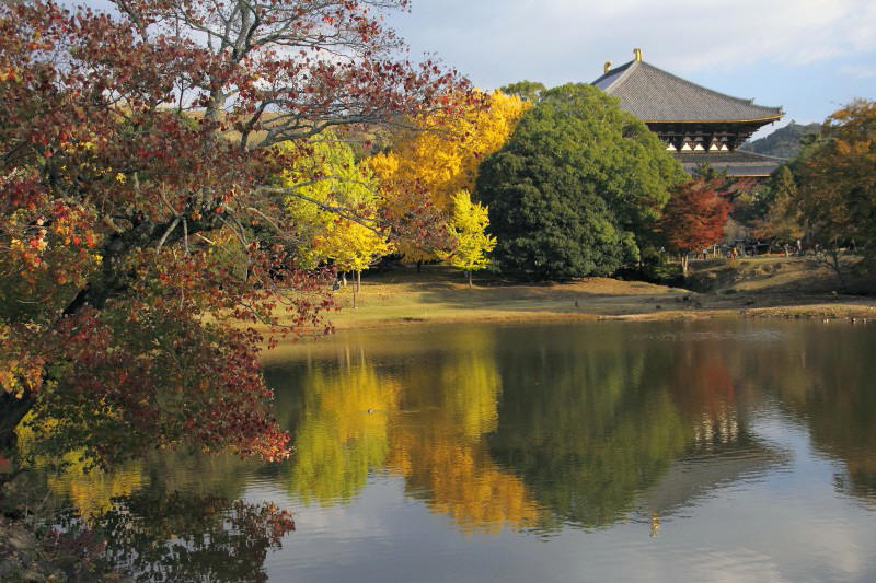 奈良公園・大仏池_003_1.jpg