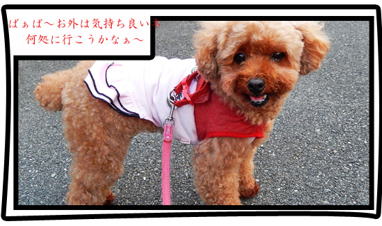 こころ１４