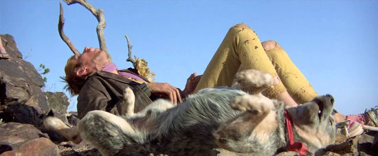 Mad Max Road Warrior Dog