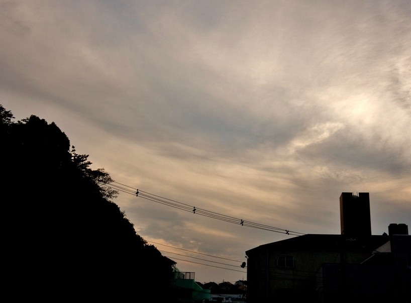 夕暮れ1.JPG