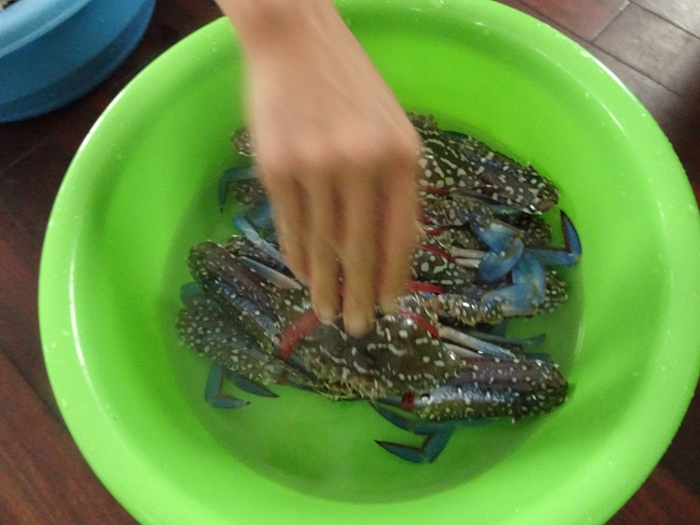 DSC09485_R.JPG
